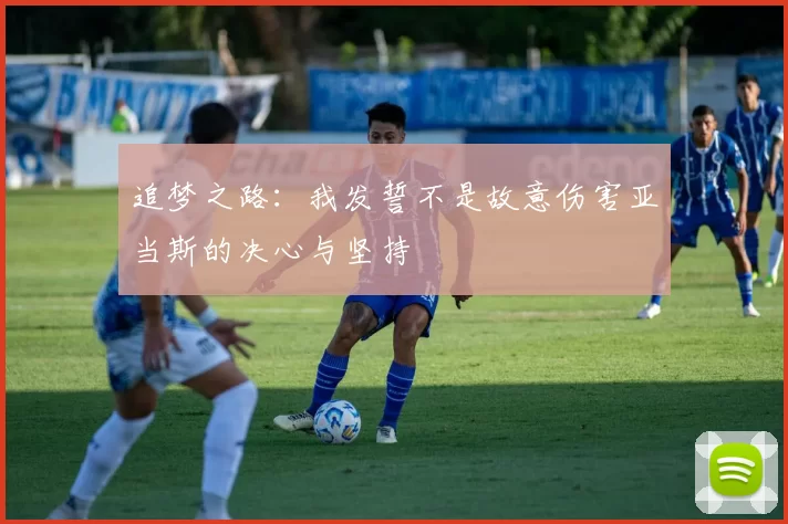 追梦之路：我发誓不是故意伤害亚当斯的决心与坚持